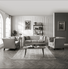 Load image into Gallery viewer, Reece Promise Sofa Set - Richicollection Furniture Warehouse
