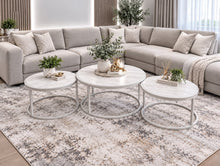 Load image into Gallery viewer, Phoebe Coffee Table Set - Richicollection Furniture Warehouse
