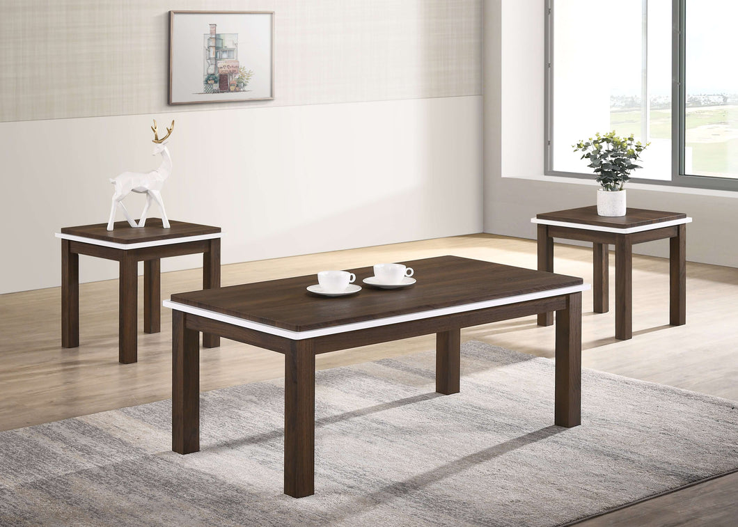 Shawn Coffee Table Set - Richicollection Furniture Warehouse